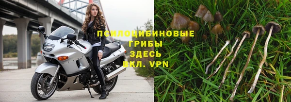 прущая мука Коряжма