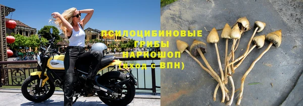 прущая мука Коряжма